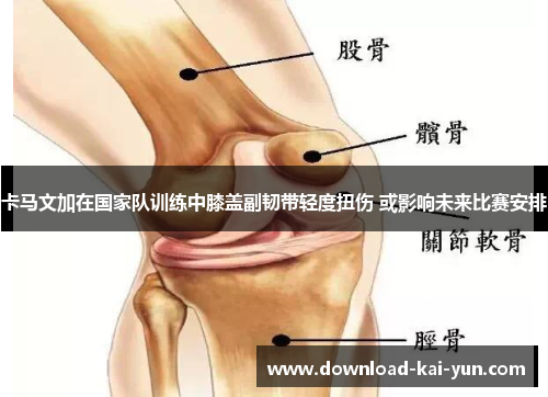 卡马文加在国家队训练中膝盖副韧带轻度扭伤 或影响未来比赛安排
